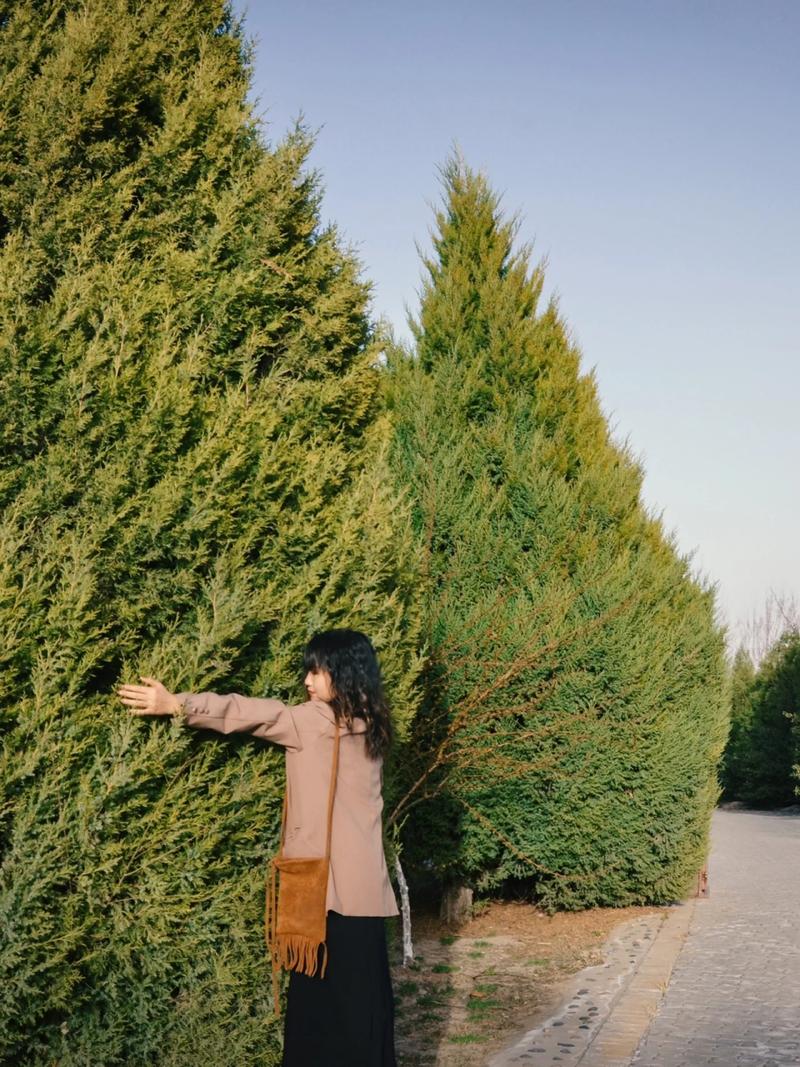 女子每月花780抱树,女子每月花780抱树放松疗愈